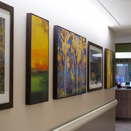 Volunteers fund artwork for hospital remodel