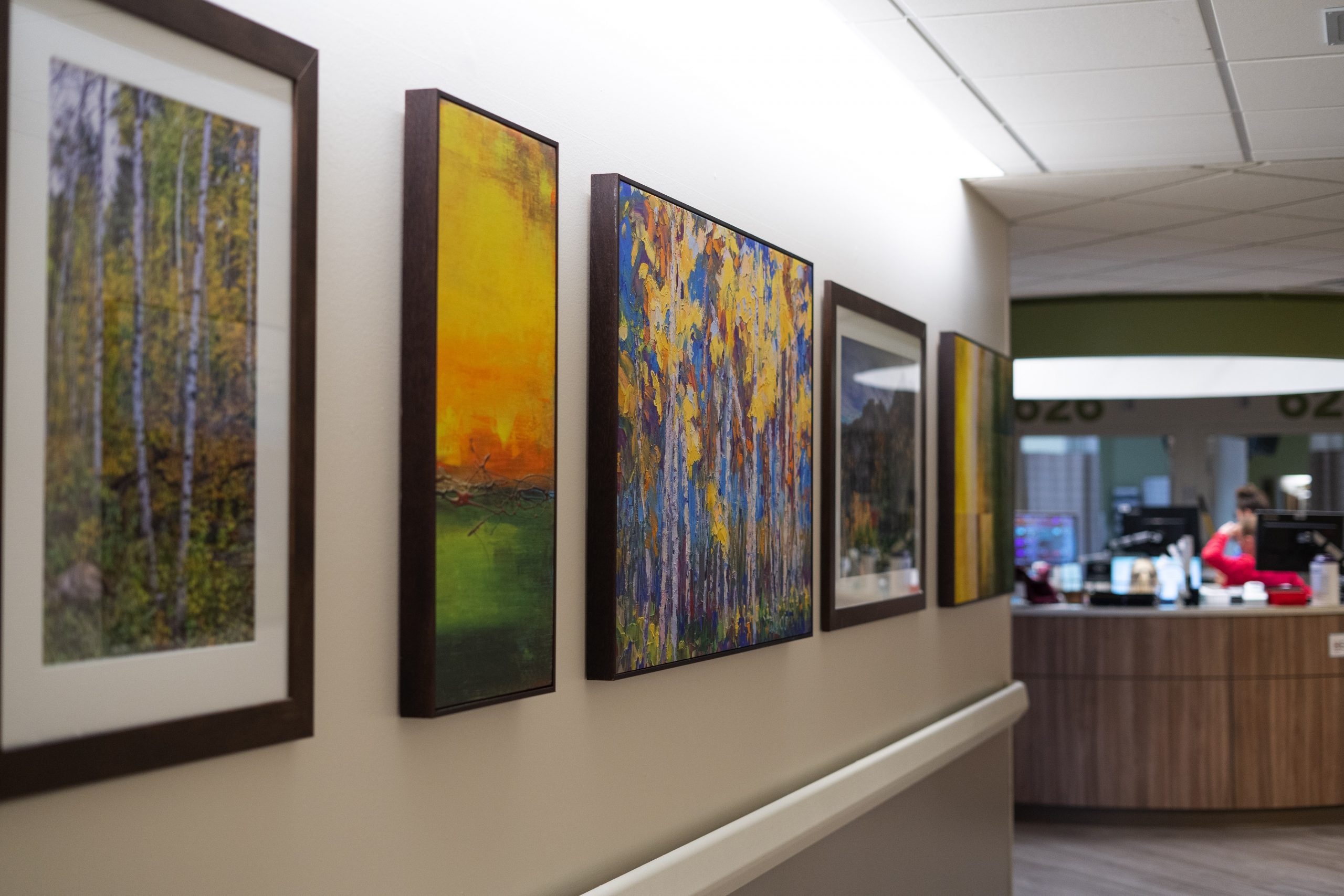 Volunteers fund artwork for hospital remodel - Monument Health