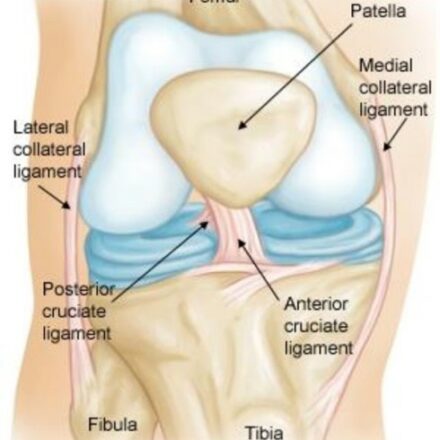 ACL Injuries and the Benefits of Hip Strengthening